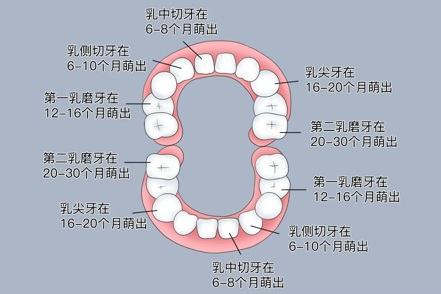 微信图片_20241016150521.jpg